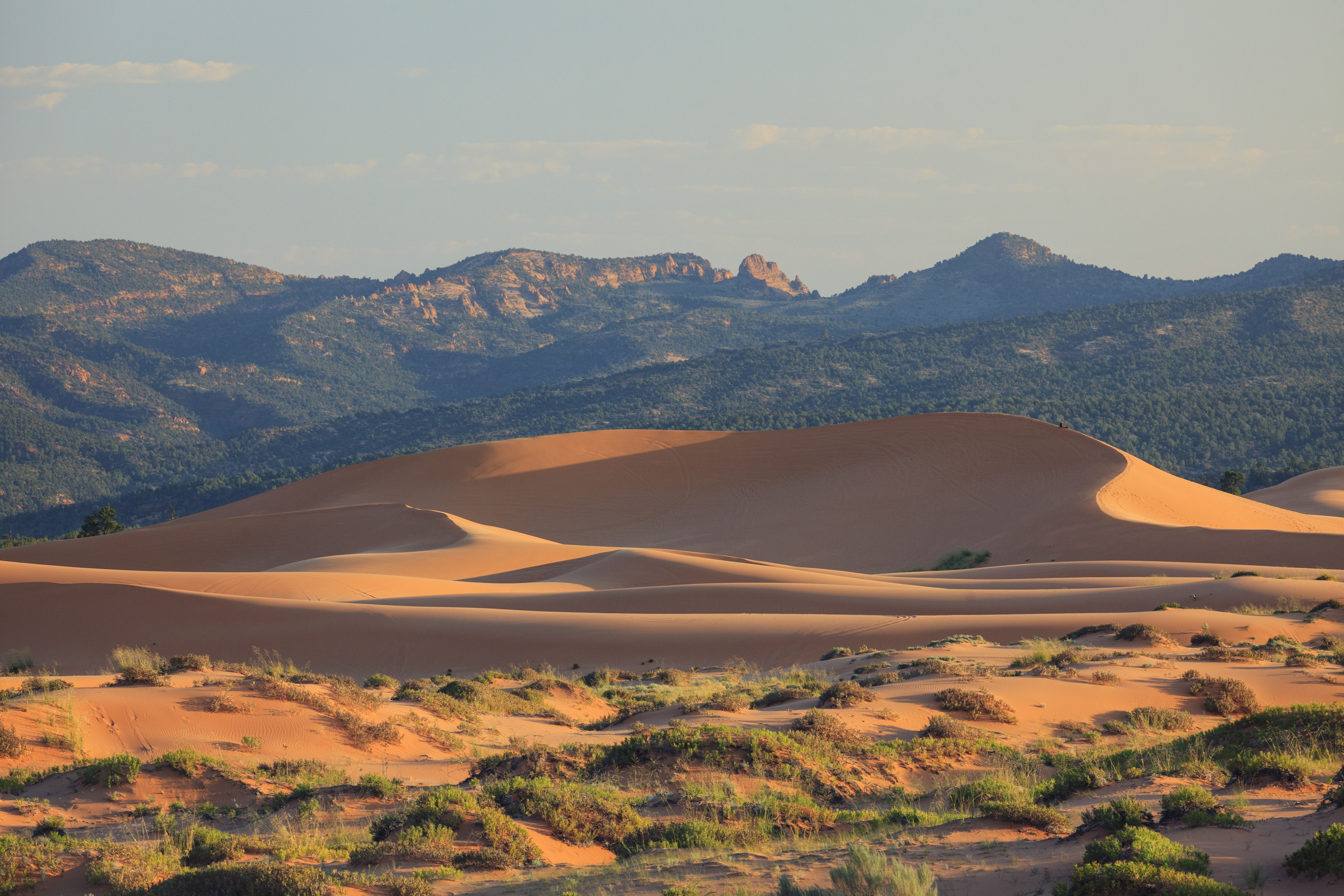 Coral Pink Sand Dunes State Park